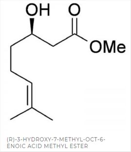 komplexer Methylester